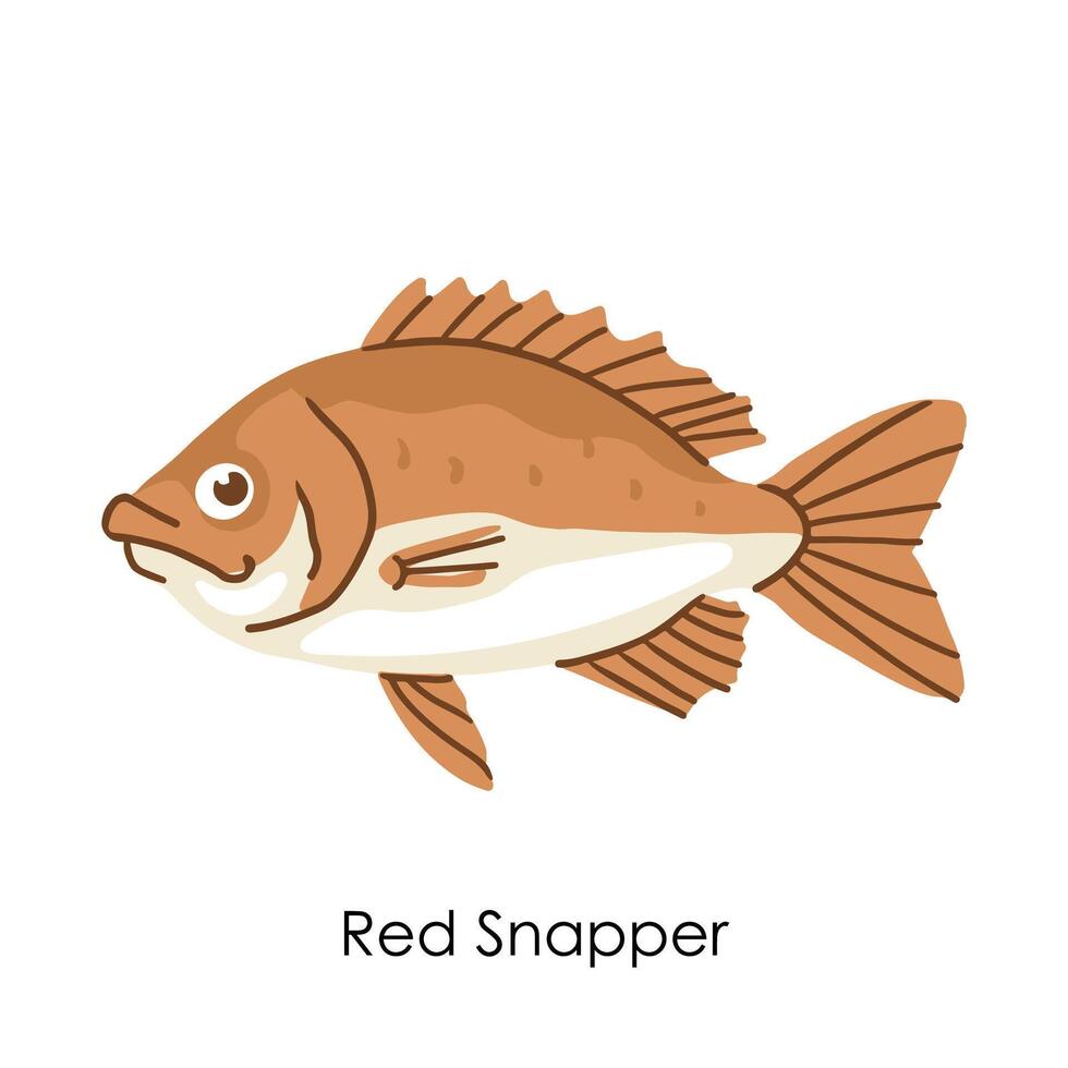 Red Snapper Edible Salt Water Fish Element vector