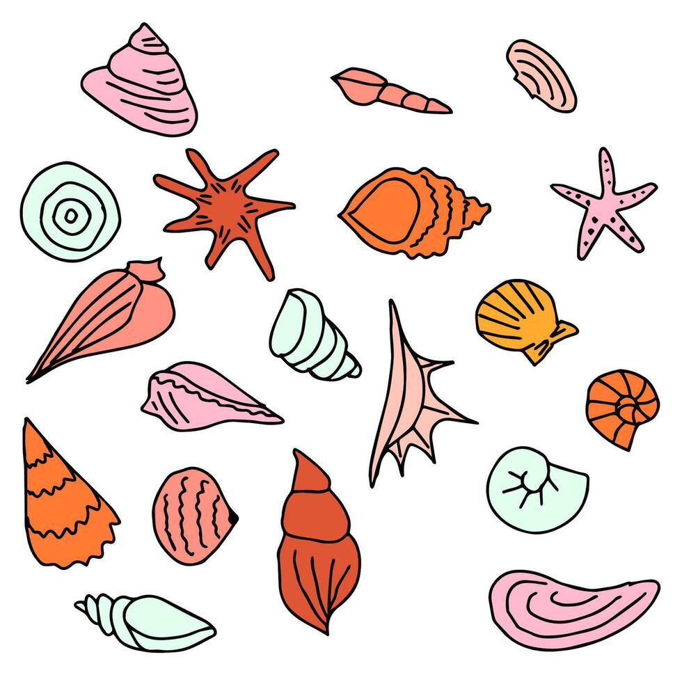 Set of various groovy sea shells. Starfish, shellfish, underwater world. Clip art vector