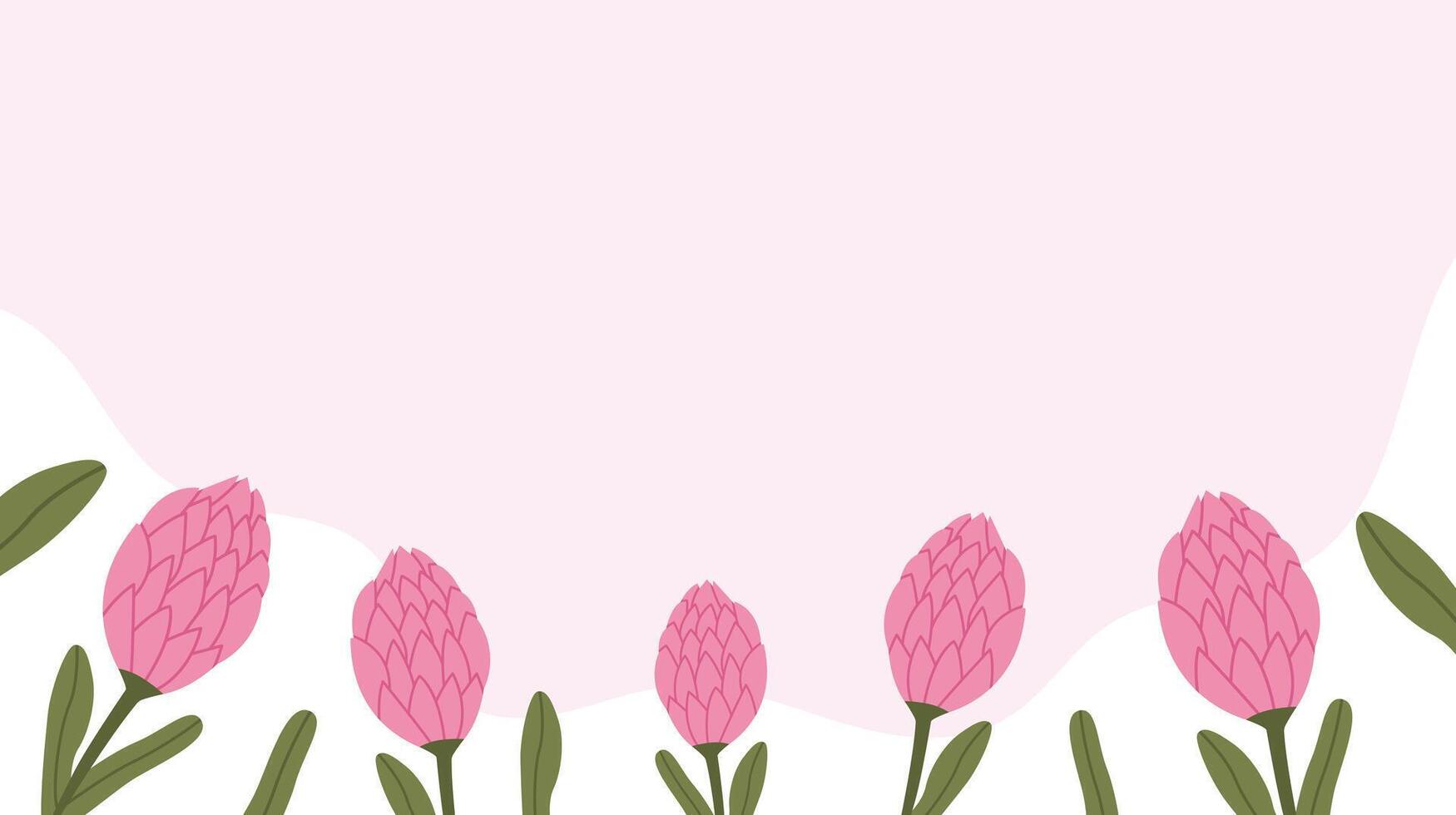 Protea spring background banner vector