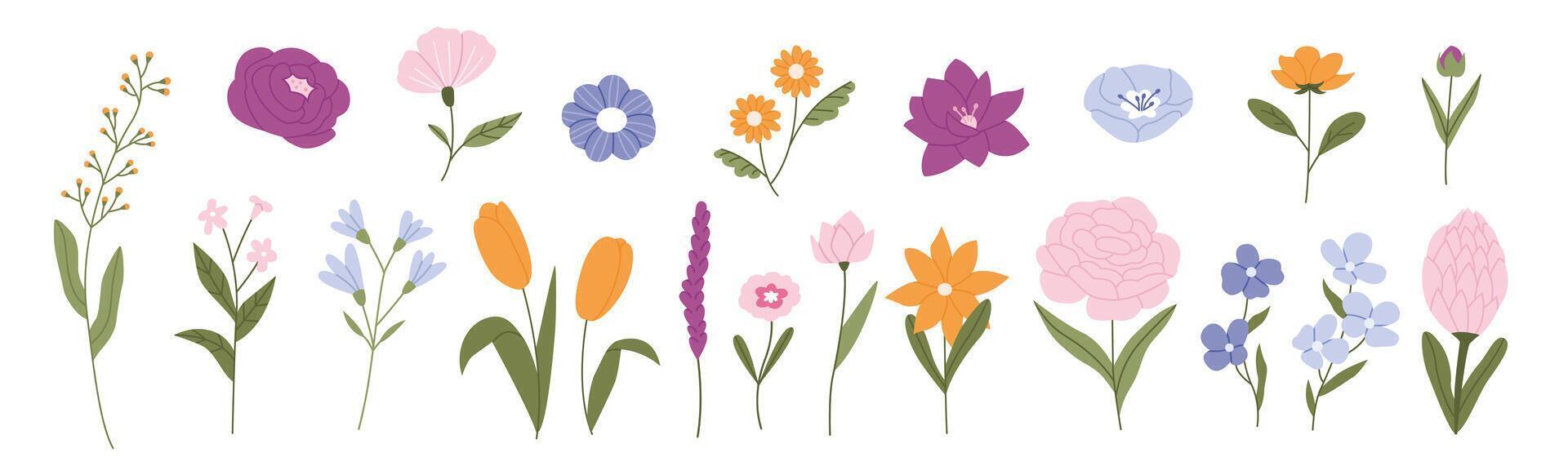 conjunto de flores dibujadas a mano vector