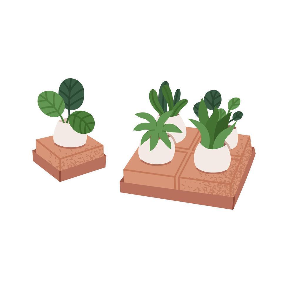 Plants in kraft ecological boxes vector