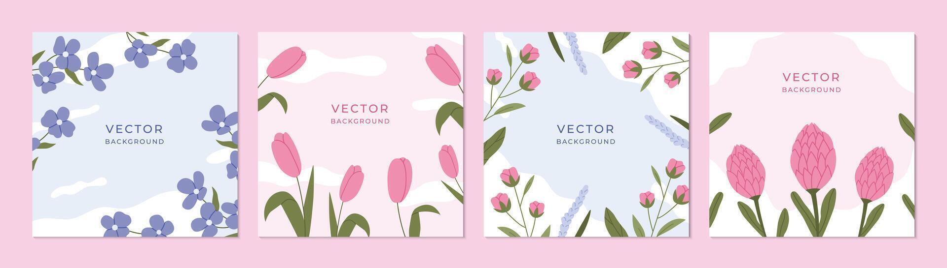 Floral set of square backgrounds vector