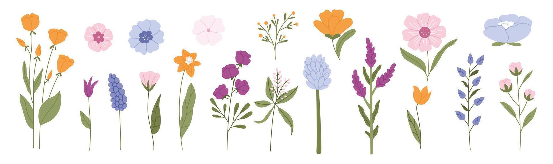 maravilloso vistoso floreciente flores vector