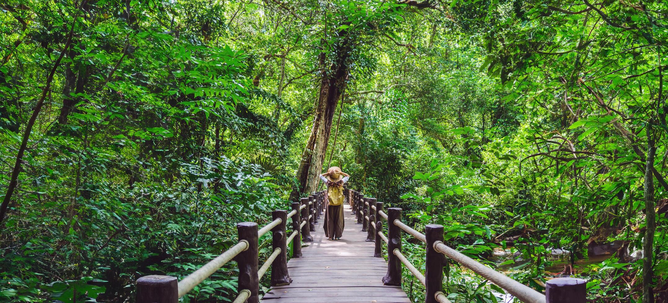 el niña caminando en el puente y disfrutando el turismo en mediante el mangle bosque. cascada que bok khorani naturaleza camino. krabi, relajarse, viajar, mochila, naturaleza, turismo, campo. foto