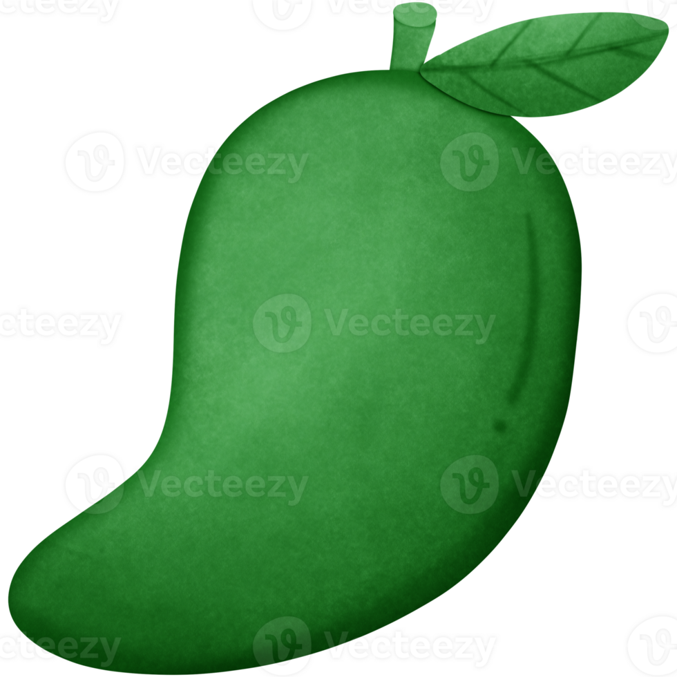 Green Mango fruit isolated on transparent background png
