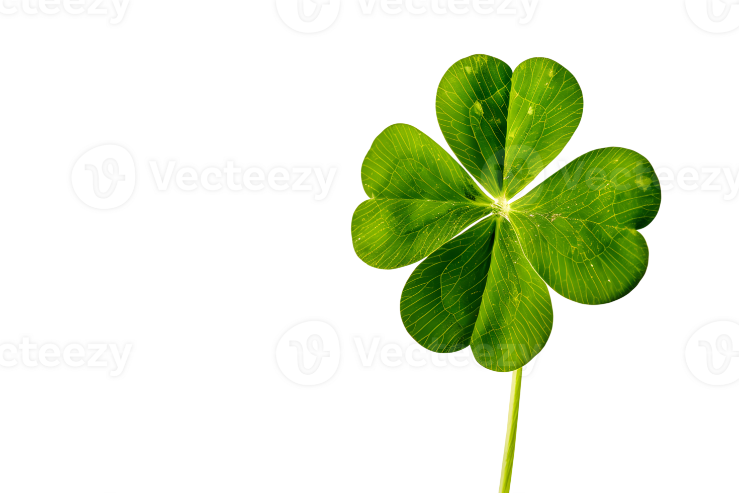 AI generated Clover leaf isolated on transparent Background png