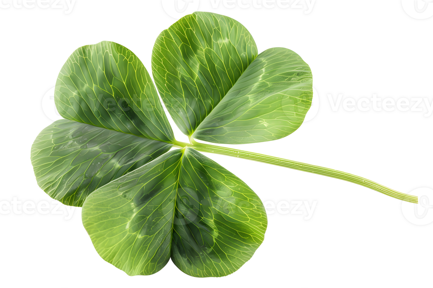 AI generated Green clover leaf isolated on transparent. St Patricks Day symbol png