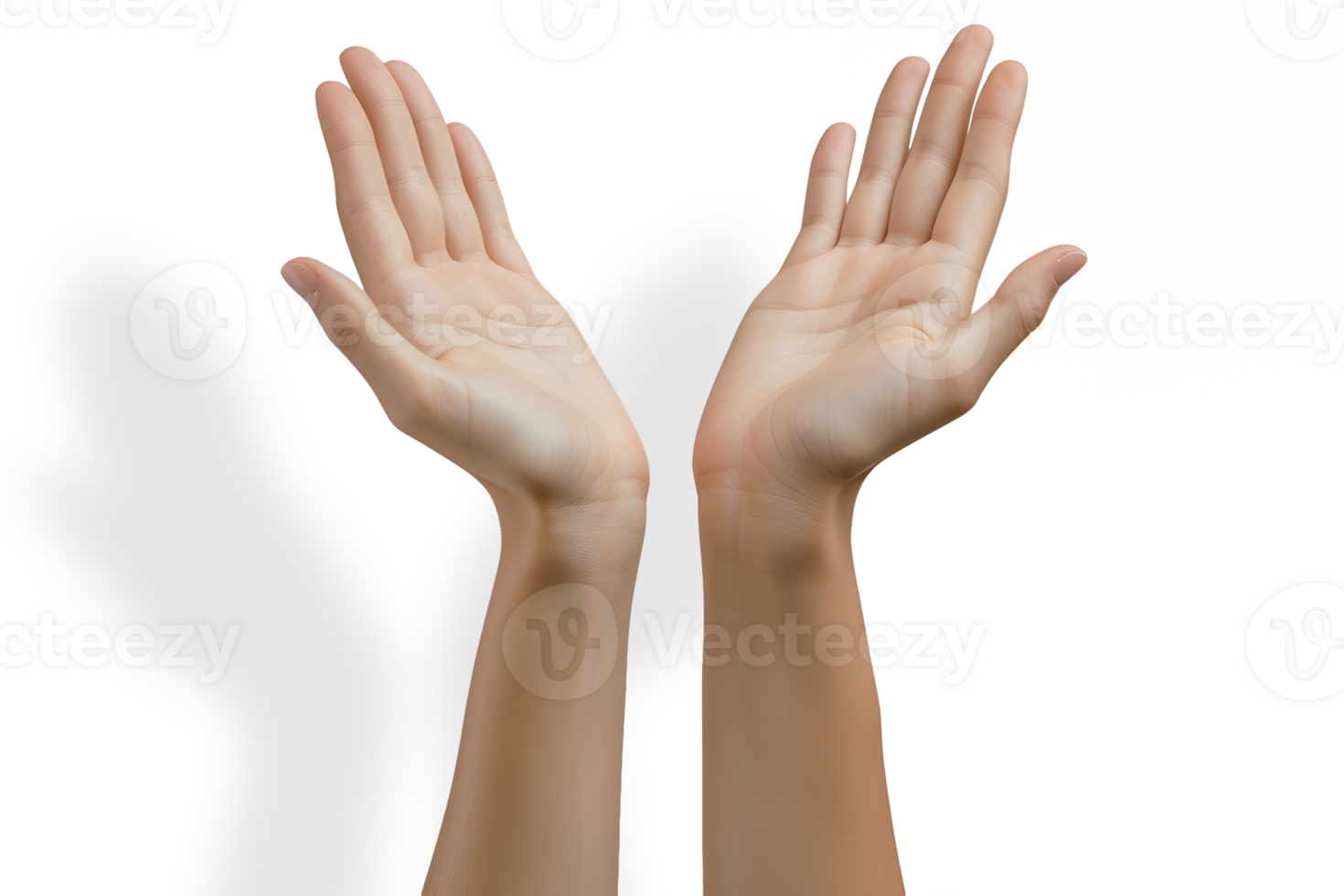 AI generated Close up of human hands gesturing PNG
