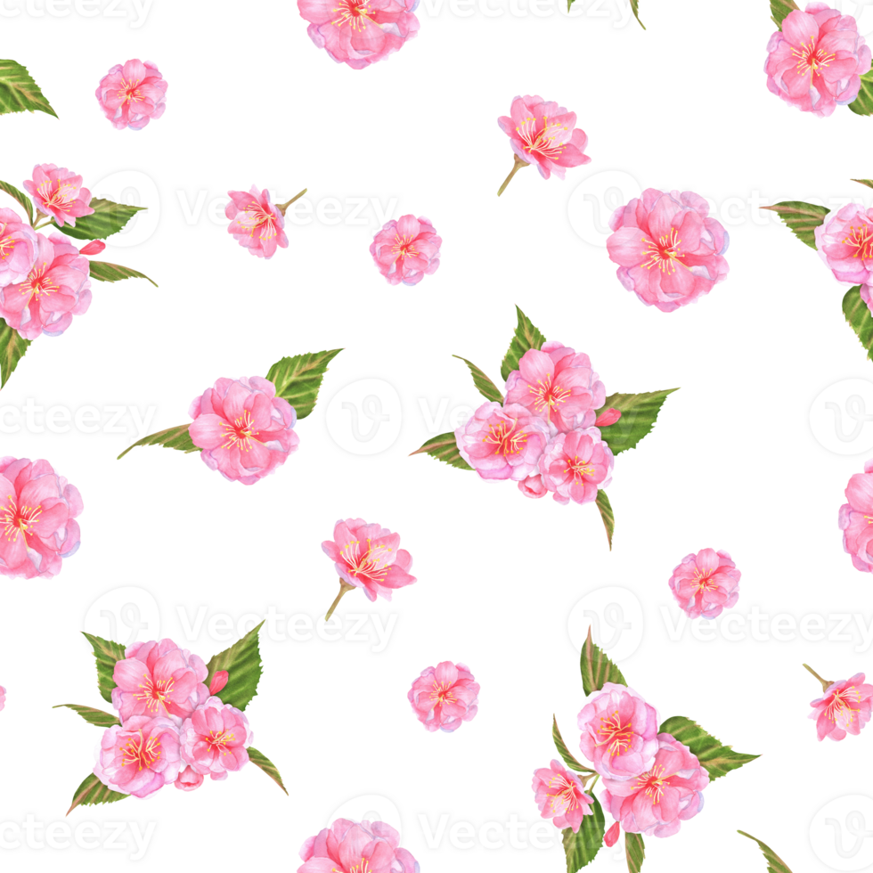 Hand-drawn watercolor illustration. Seamless pattern with pink sakura flowers and leaves. Floral pattern. png