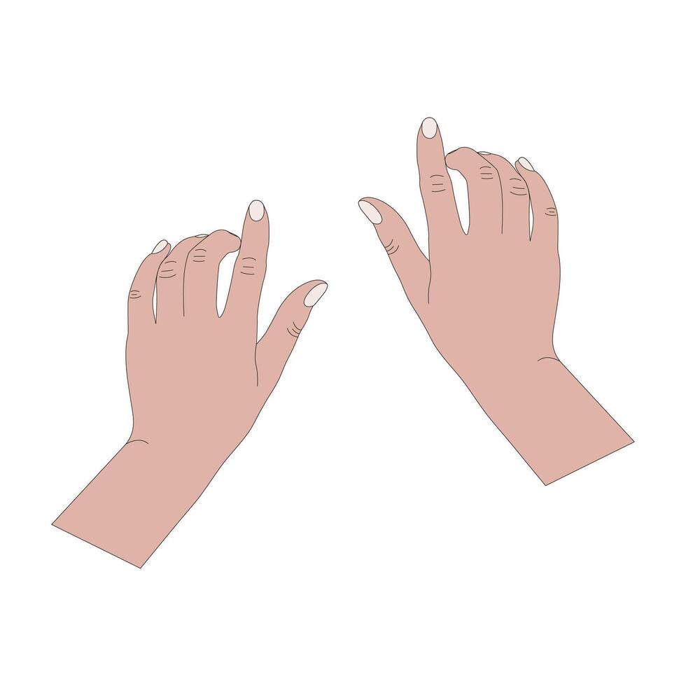 vector ilustración de humano manos mecanografía en un teclado.