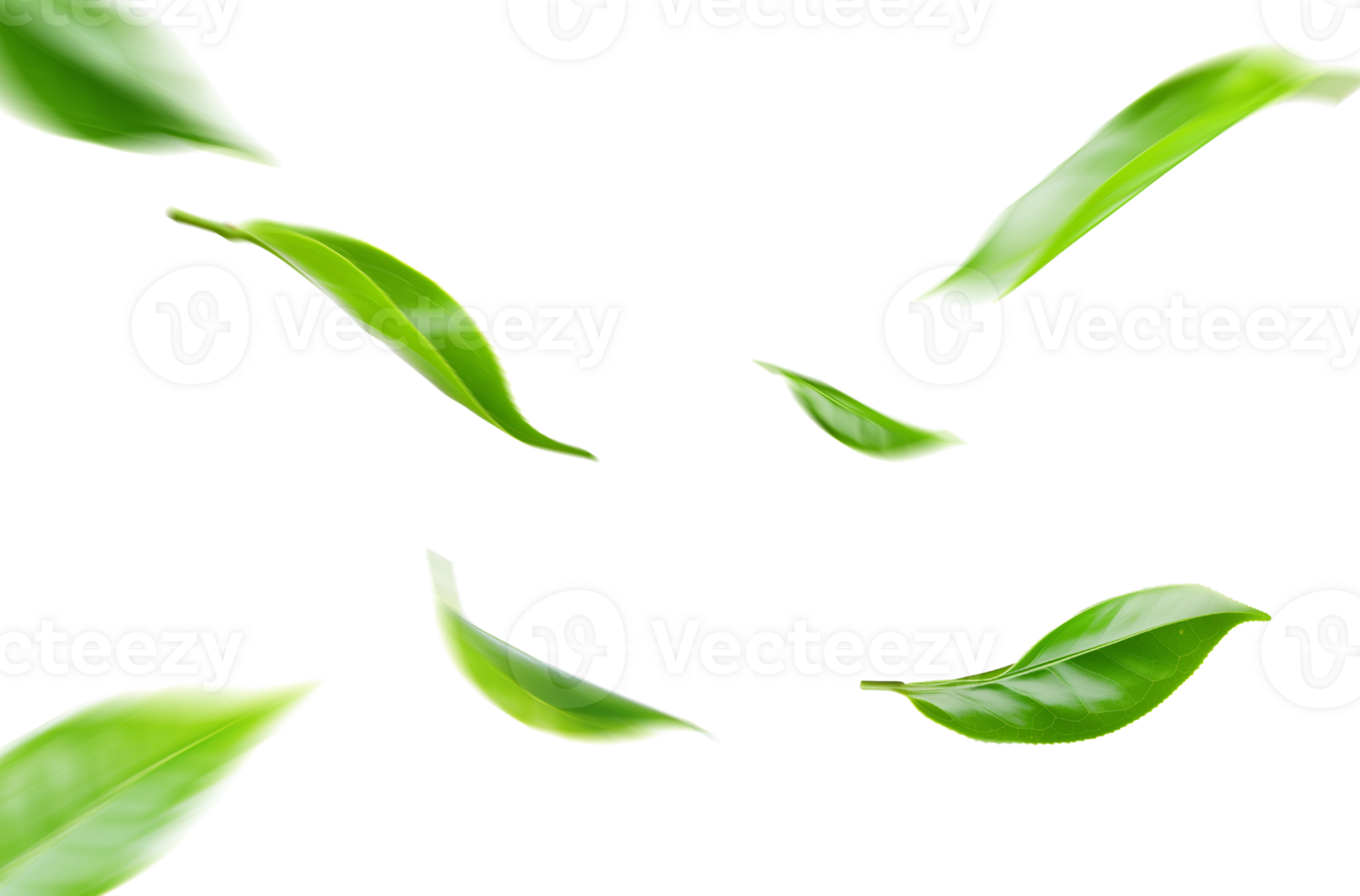 Green Floating Leaves Flying Leaves Green Leaf Dancing png