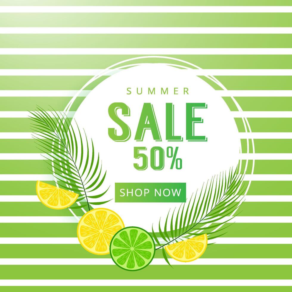 Summer Sale Poster Banner Template With Tropical Leaves And Sliced Citrus vector