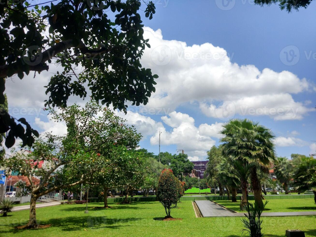 nature pictures for background photo