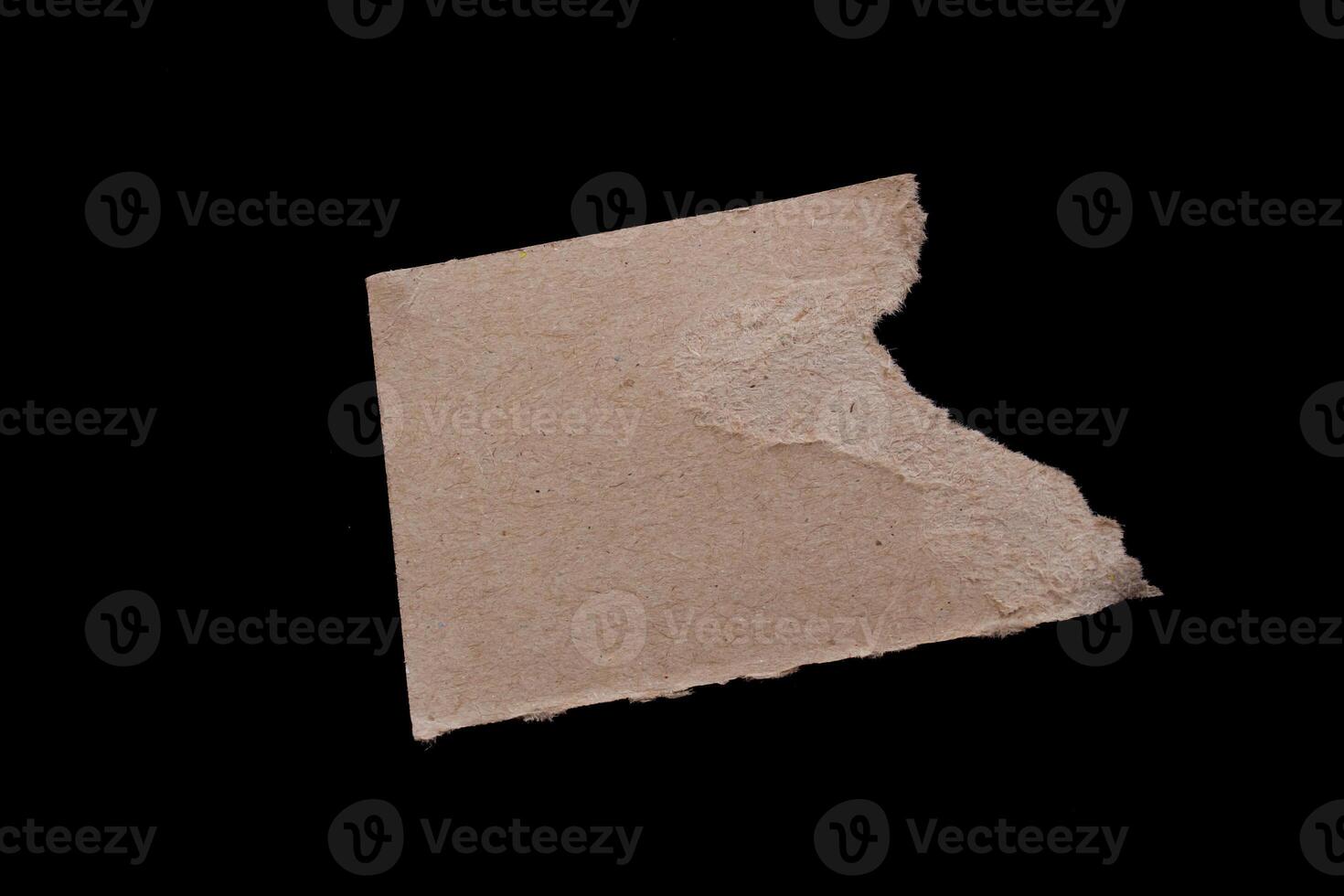 Isolated ripped paper piece. Torn blank paper with edges. photo