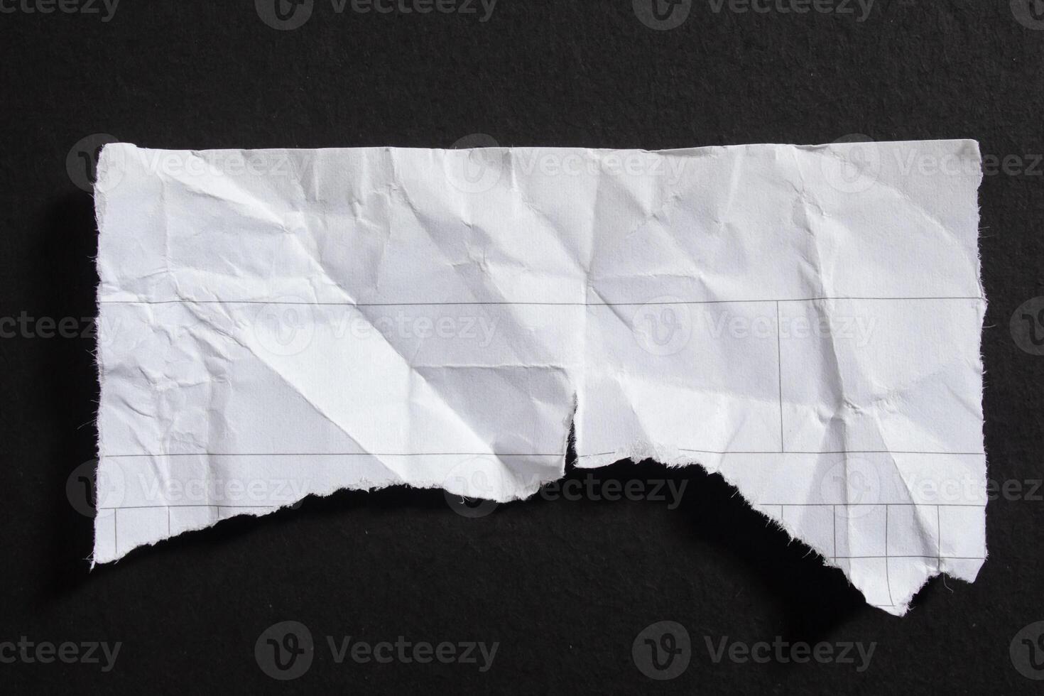Isolated ripped paper piece. Torn blank paper with edges. photo