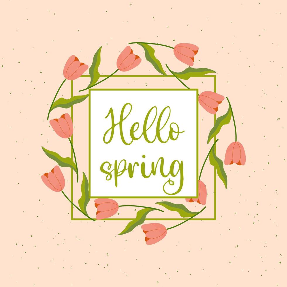 Hello spring, pink background, frame with tulips, and dots on background. vector illustration