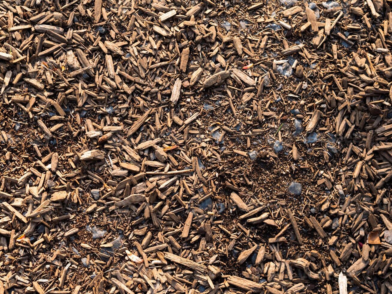 Tree chips, mulch and pebbles on the ground textures photo