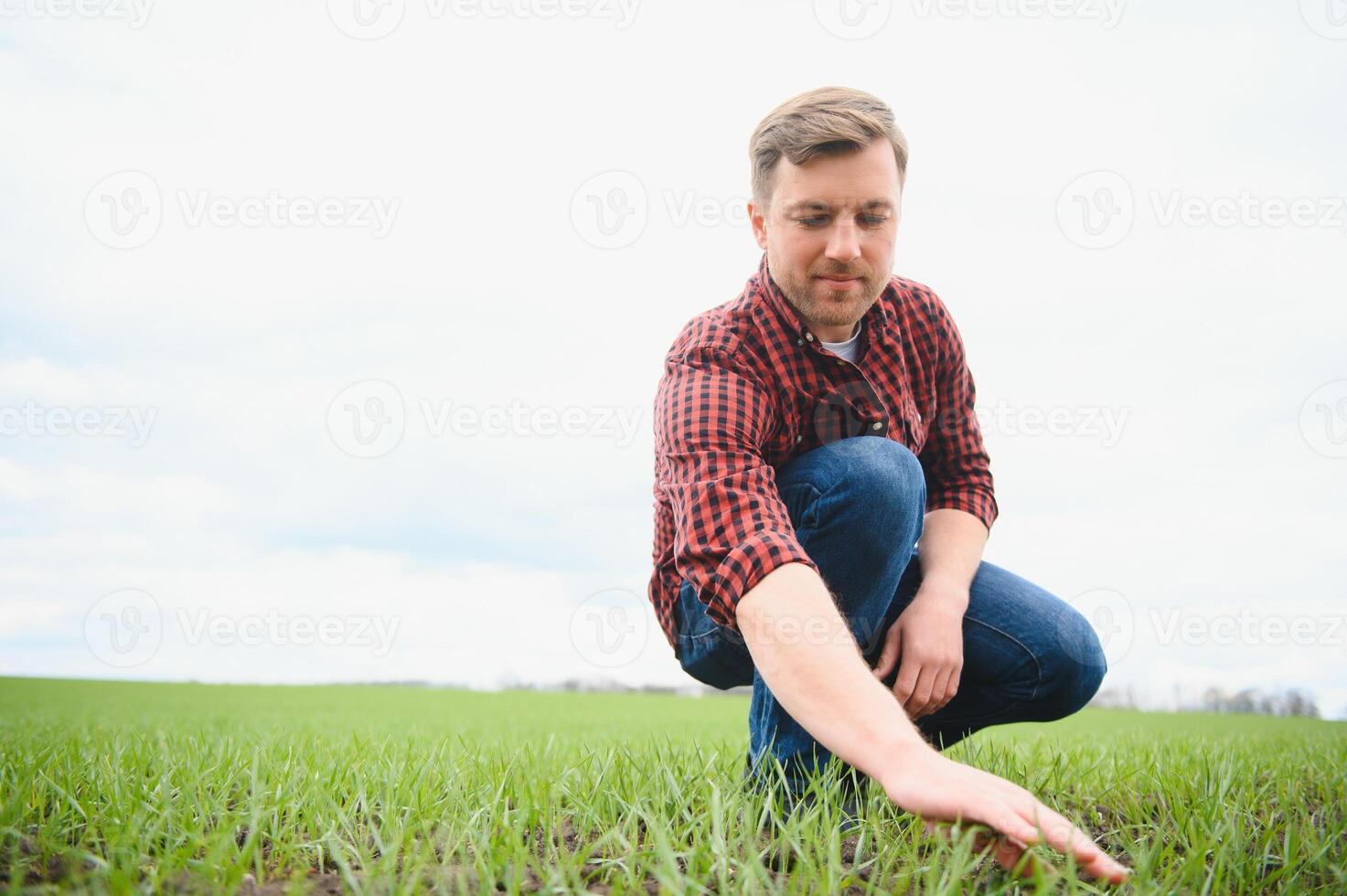 Young handsome farmer squatting in corn field in spring. Agribusiness and innovation concept photo