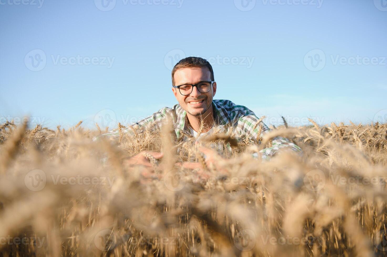 joven agrónomo en grano campo. cereal agricultura foto