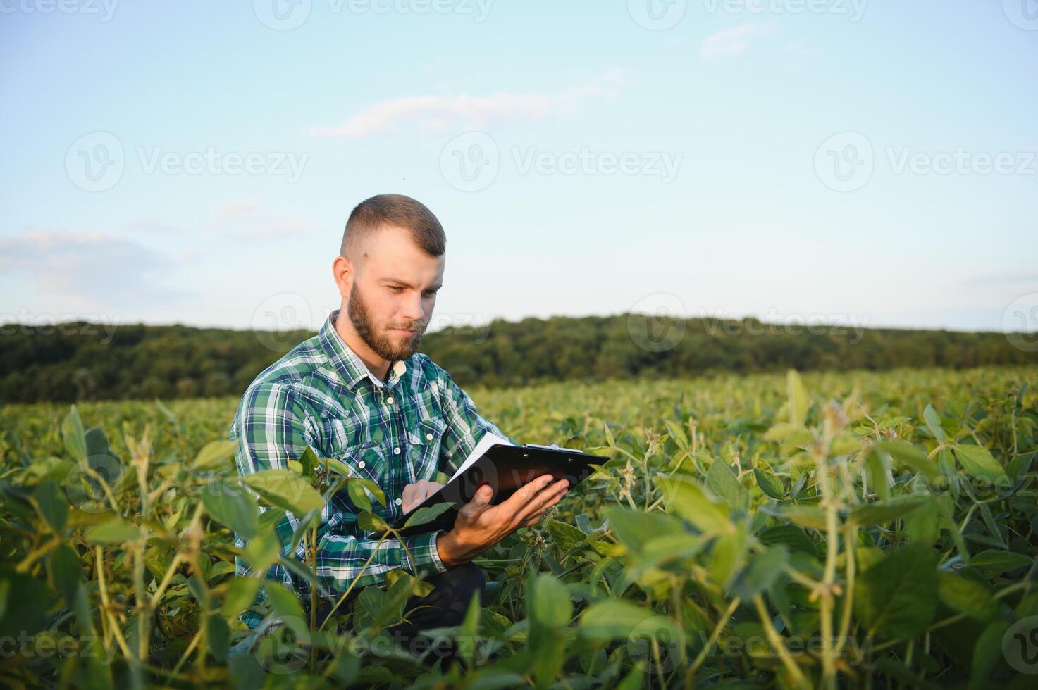 Young agronomist holds tablet touch pad computer in the soy field and examining crops before harvesting. Agribusiness concept. agricultural engineer standing in a soy field with a tablet in summer. photo