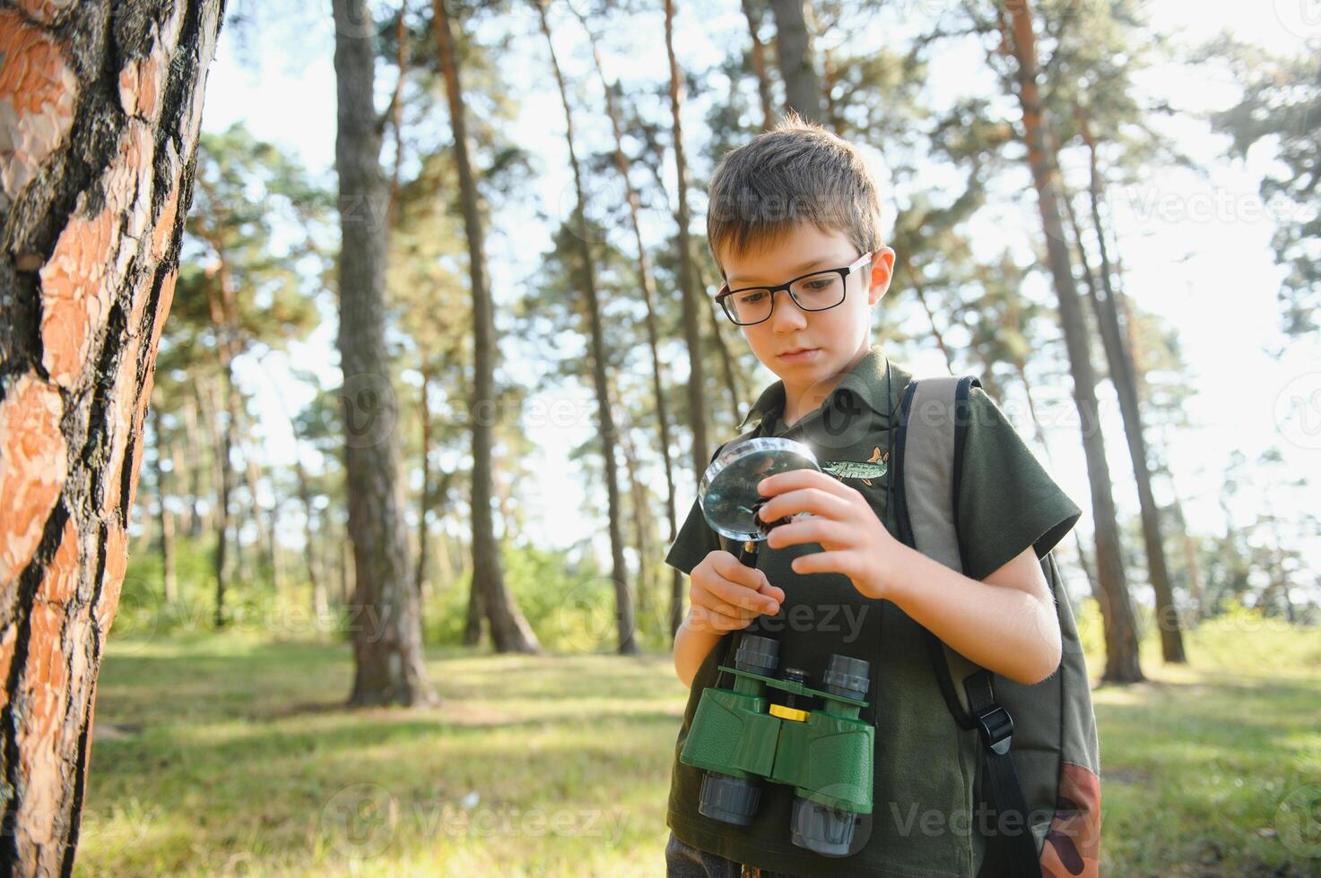 Boy biologist or entomologist studies nature. Scout in the forest. A teenager studies insects. Biology. Geology. Expedition in the forest photo