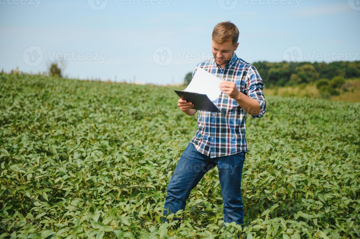 agrónomo inspeccionando soja frijol cultivos creciente en el granja campo. agricultura producción concepto. joven agrónomo examina haba de soja cosecha en campo en verano. granjero en haba de soja campo. foto