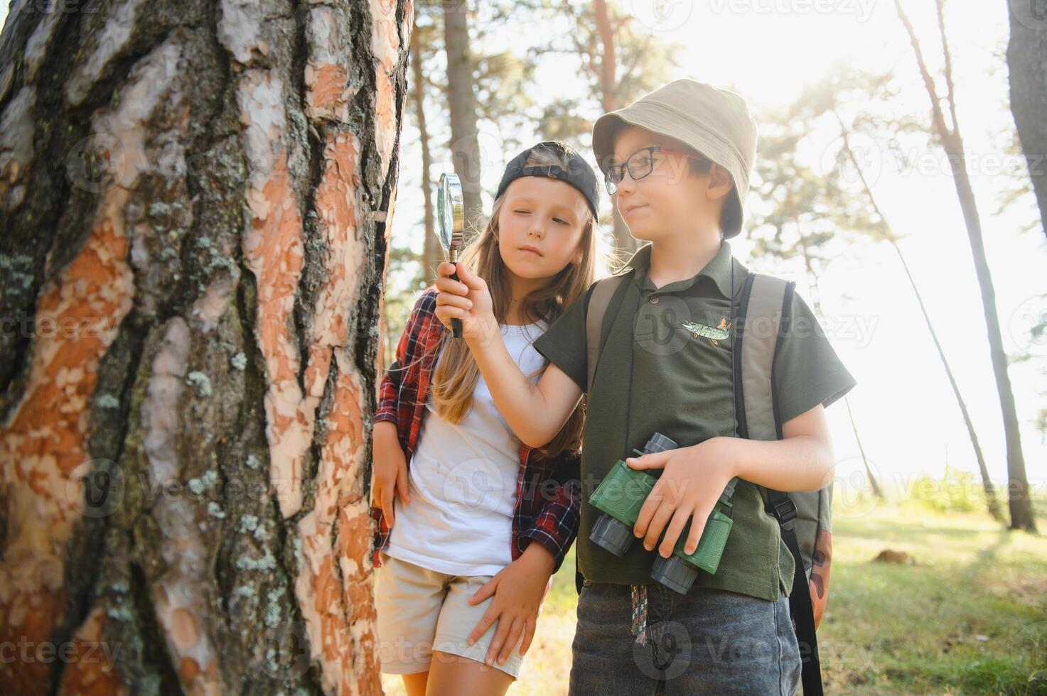 kids scouts in the forest. photo
