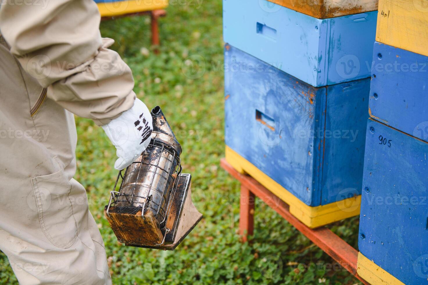 Beekeeper is working with bees and beehives on apiary. Bees on honeycomb. Frames of bee hive. Beekeeping. Honey. Healthy food. Natural products. photo