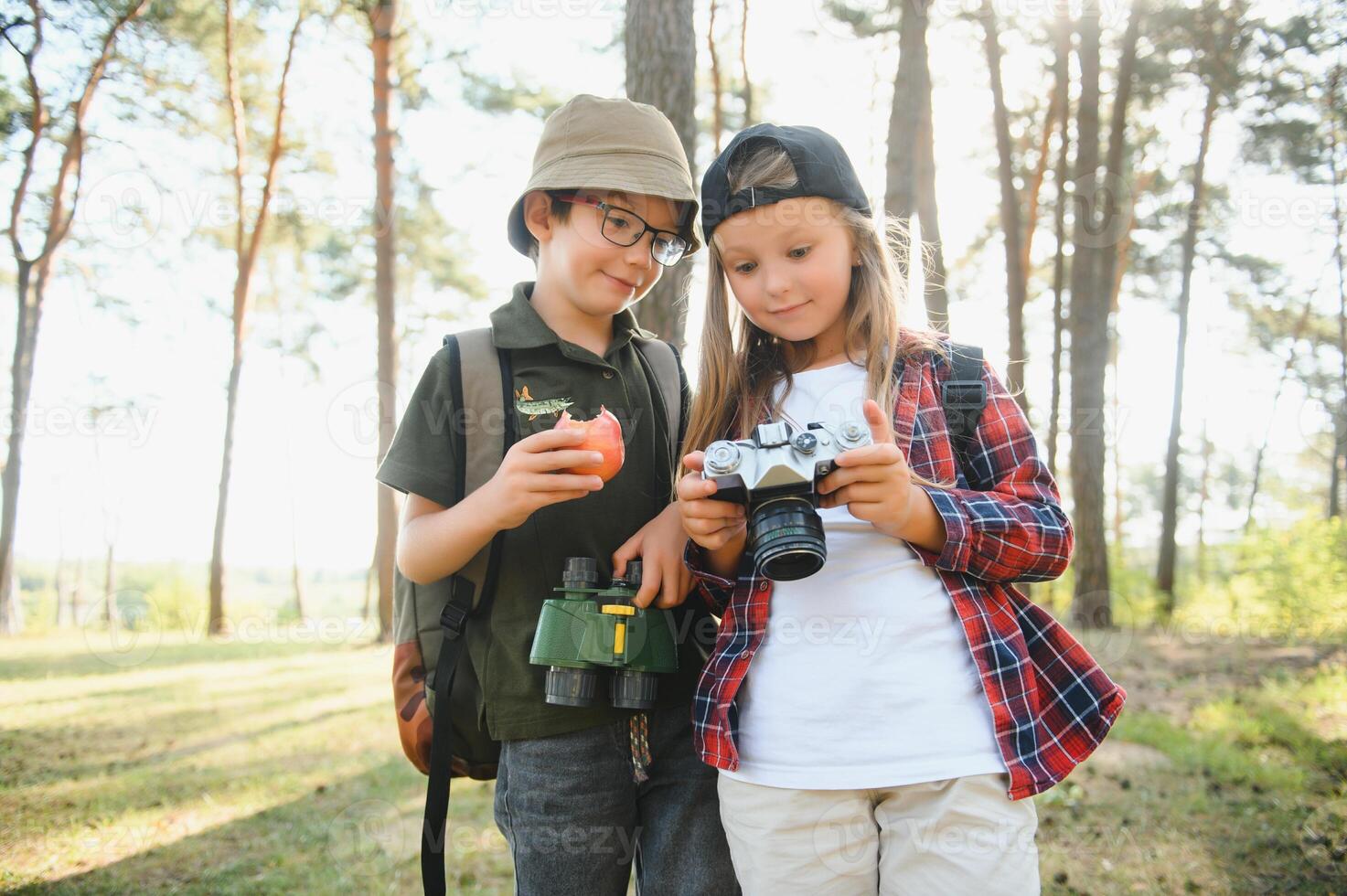 niños exploradores en el bosque. foto