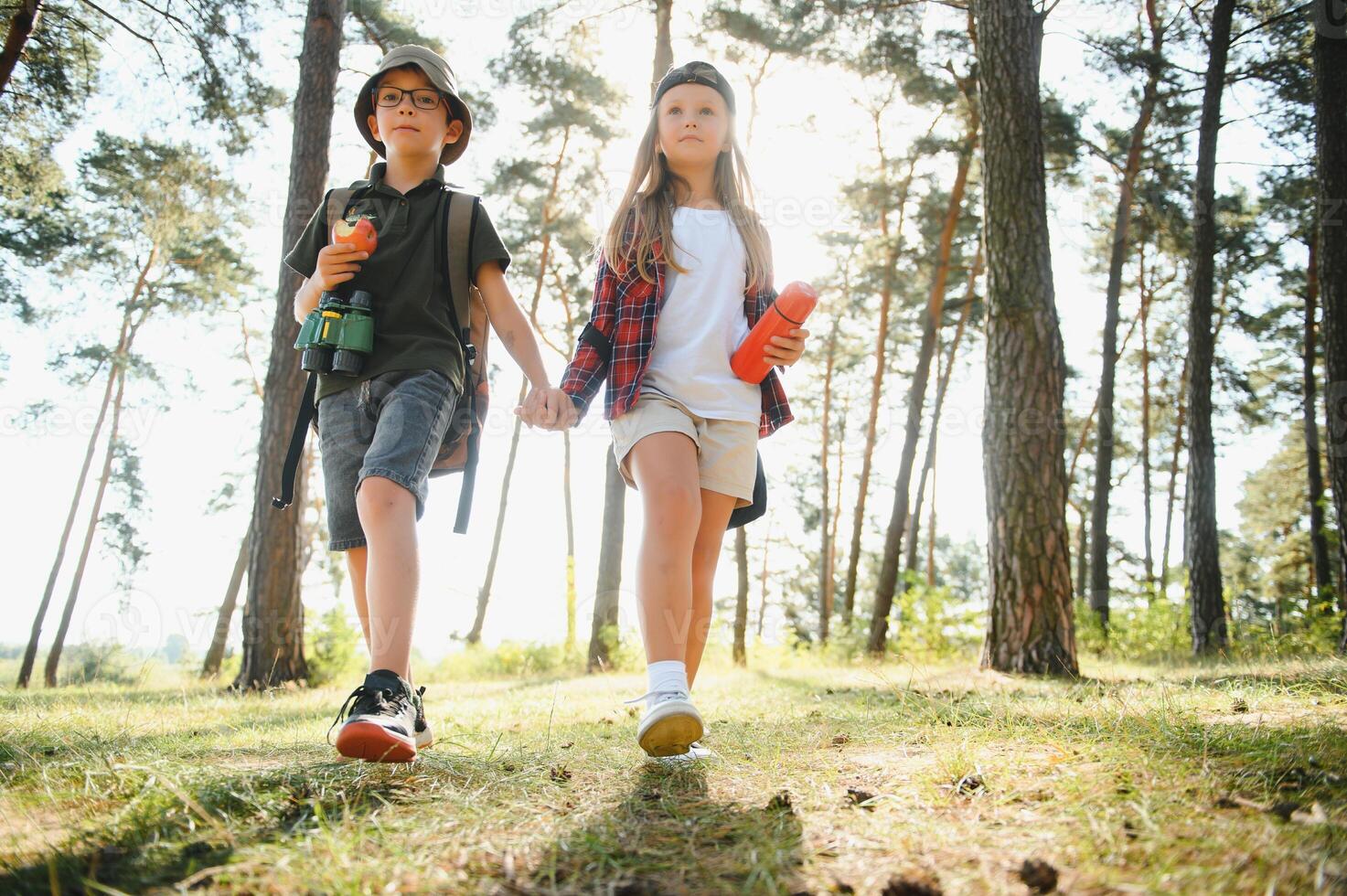 Little boy and girl go hiking on a forest road photo