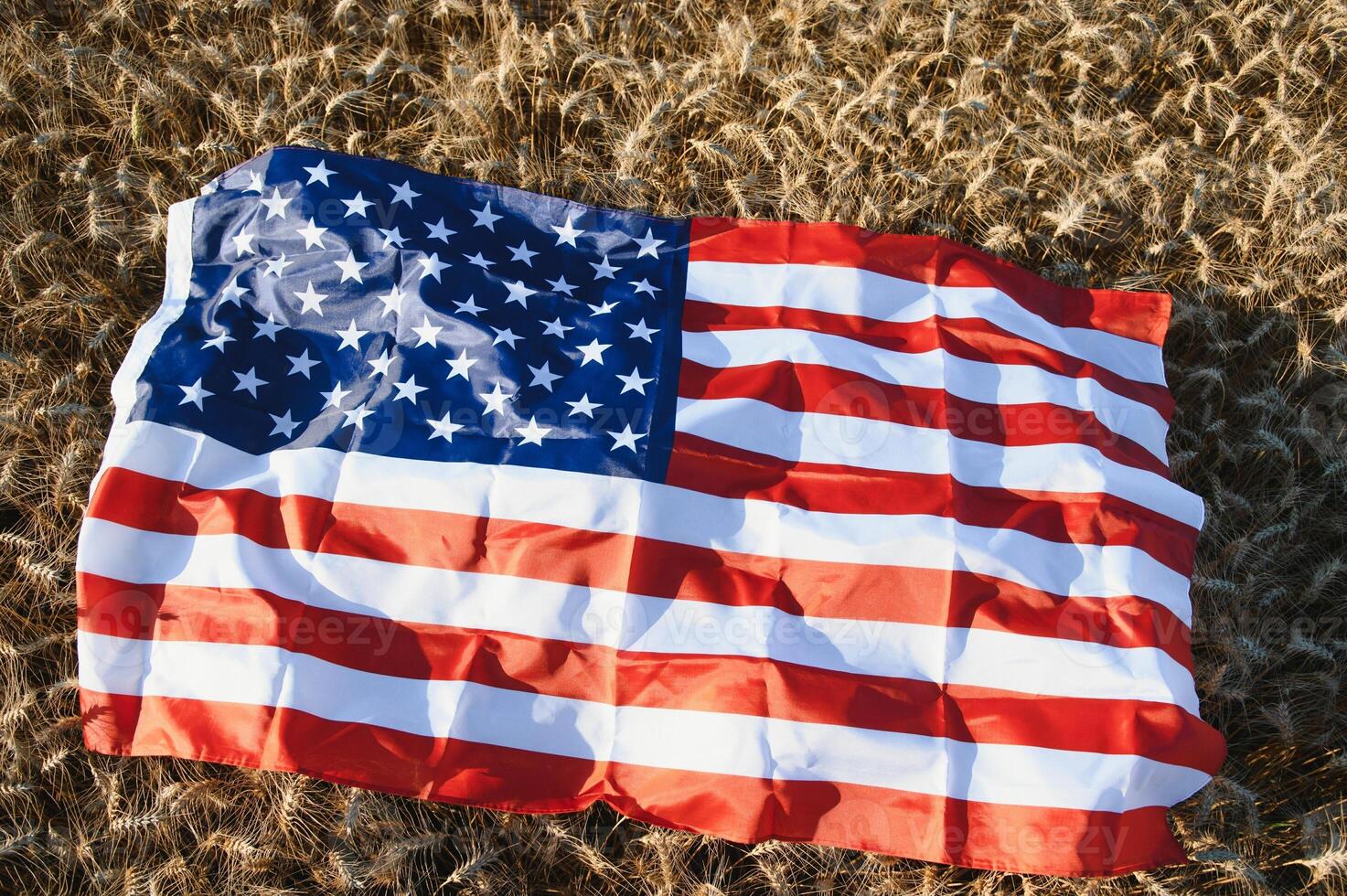 USA American flag spreaded on the golden wheat field. photo