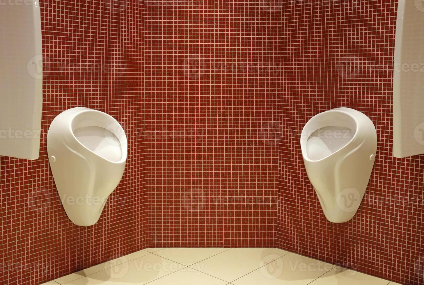 Urinals in a men's restroom photo