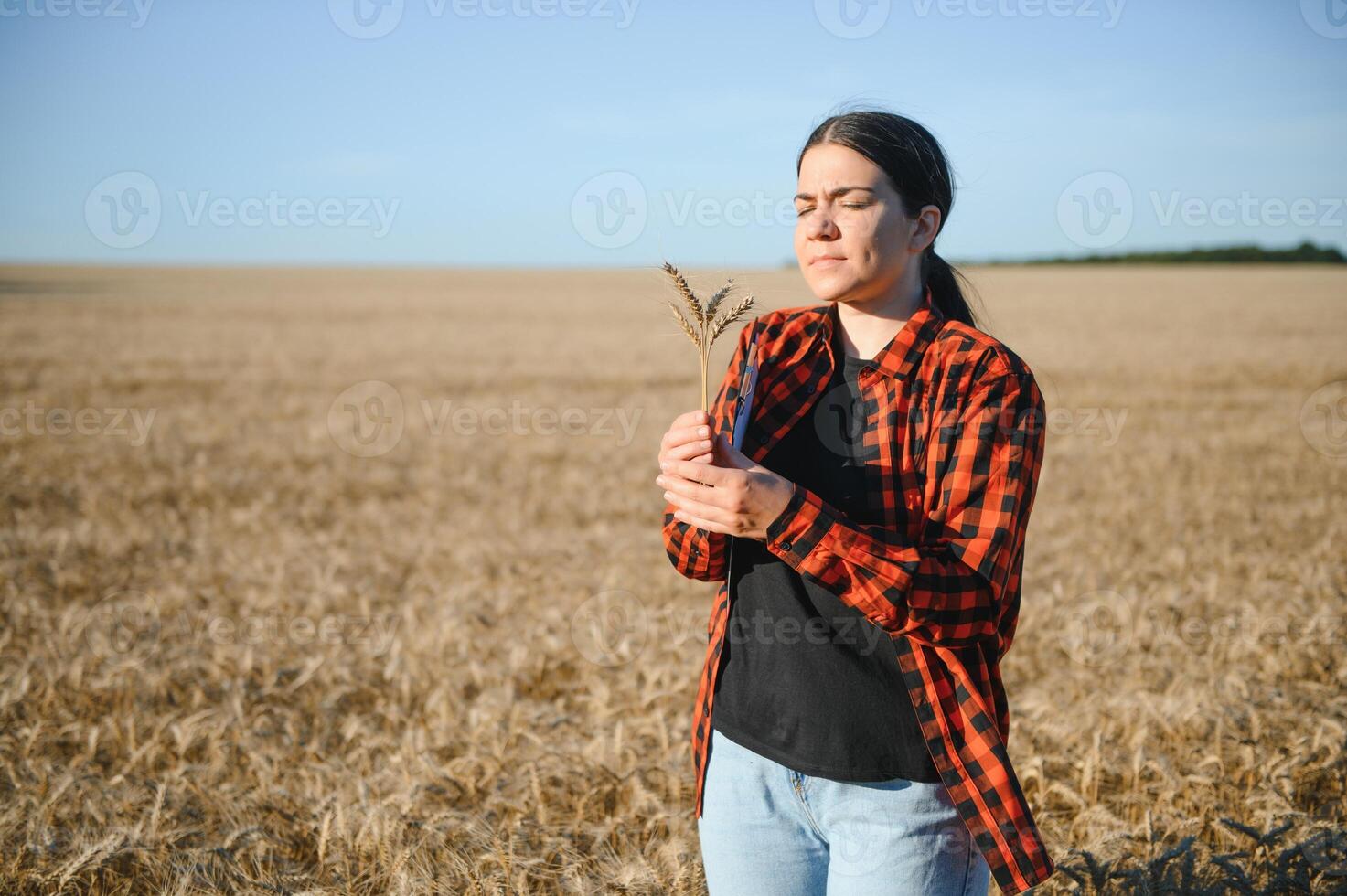 Woman farmer agronomist working in grain field and planning income of harvest. Female examining and checking quality control of produce wheat crop. Agriculture management and agribusiness photo