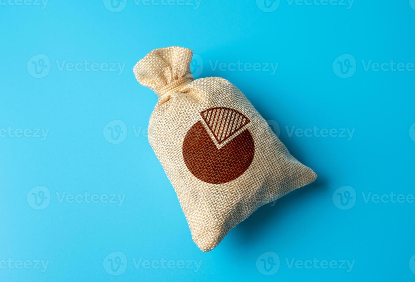Money bag with pie chart symbol. Budget. Financial plan. Distribution of resources photo