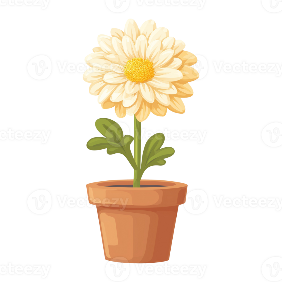 AI generated illustration of chrysanthemum flowers isolated on transparent background png