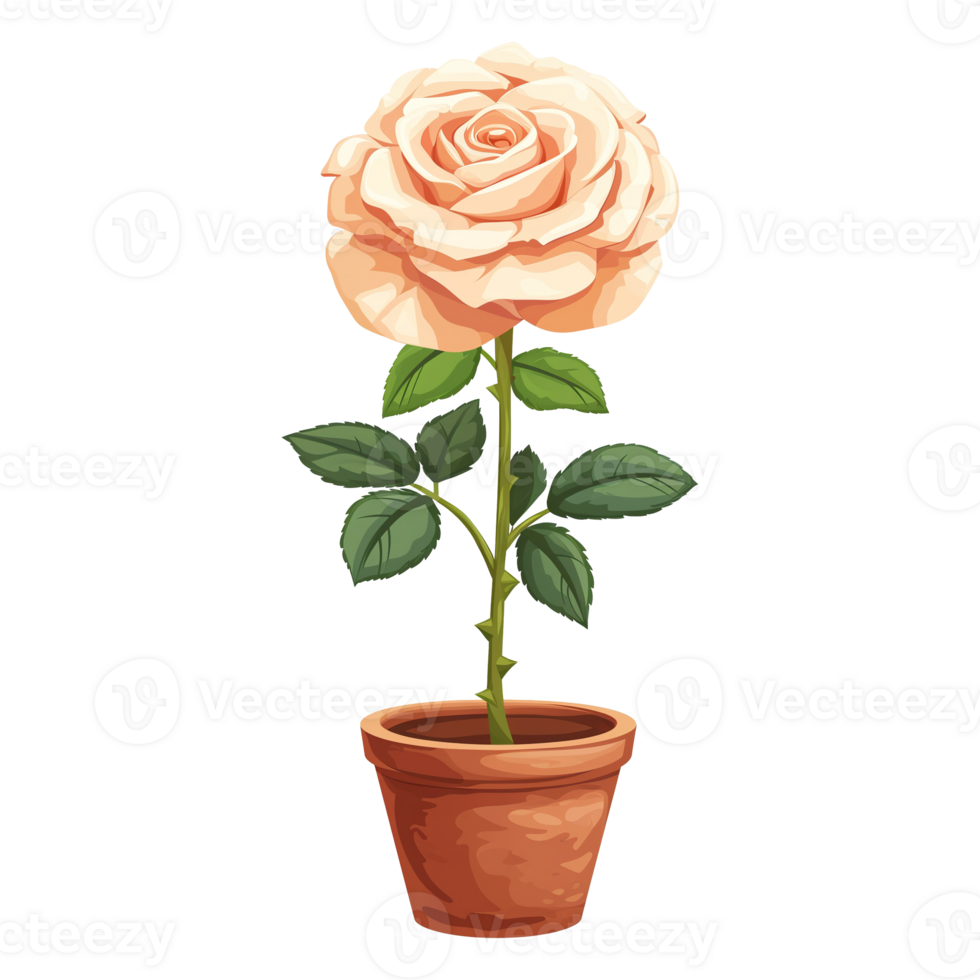 AI generated Rose flowers illustration in pots isolated on transparent background png