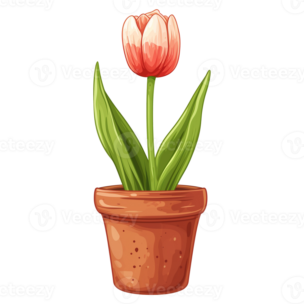 AI generated Tulip flowers in pots isolated on transparent background png