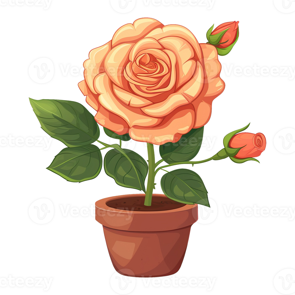 AI generated rose flower in pot isolated on a transparent background png