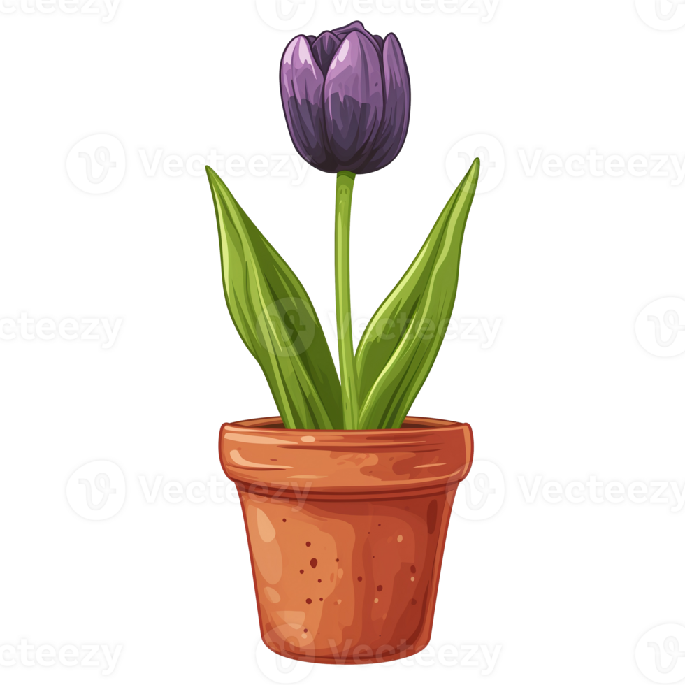 AI generated Tulip flowers in pots isolated on transparent background png