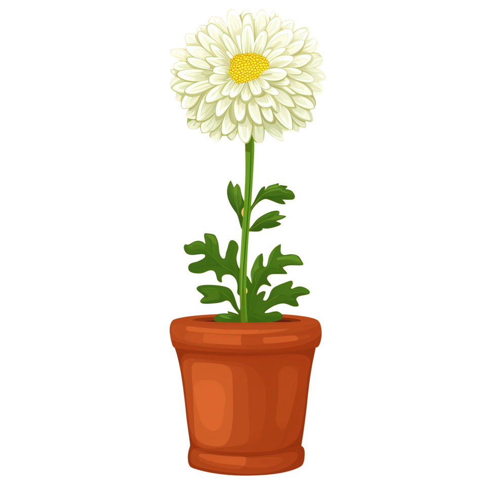 AI generated illustration of chrysanthemum flowers isolated on transparent background png