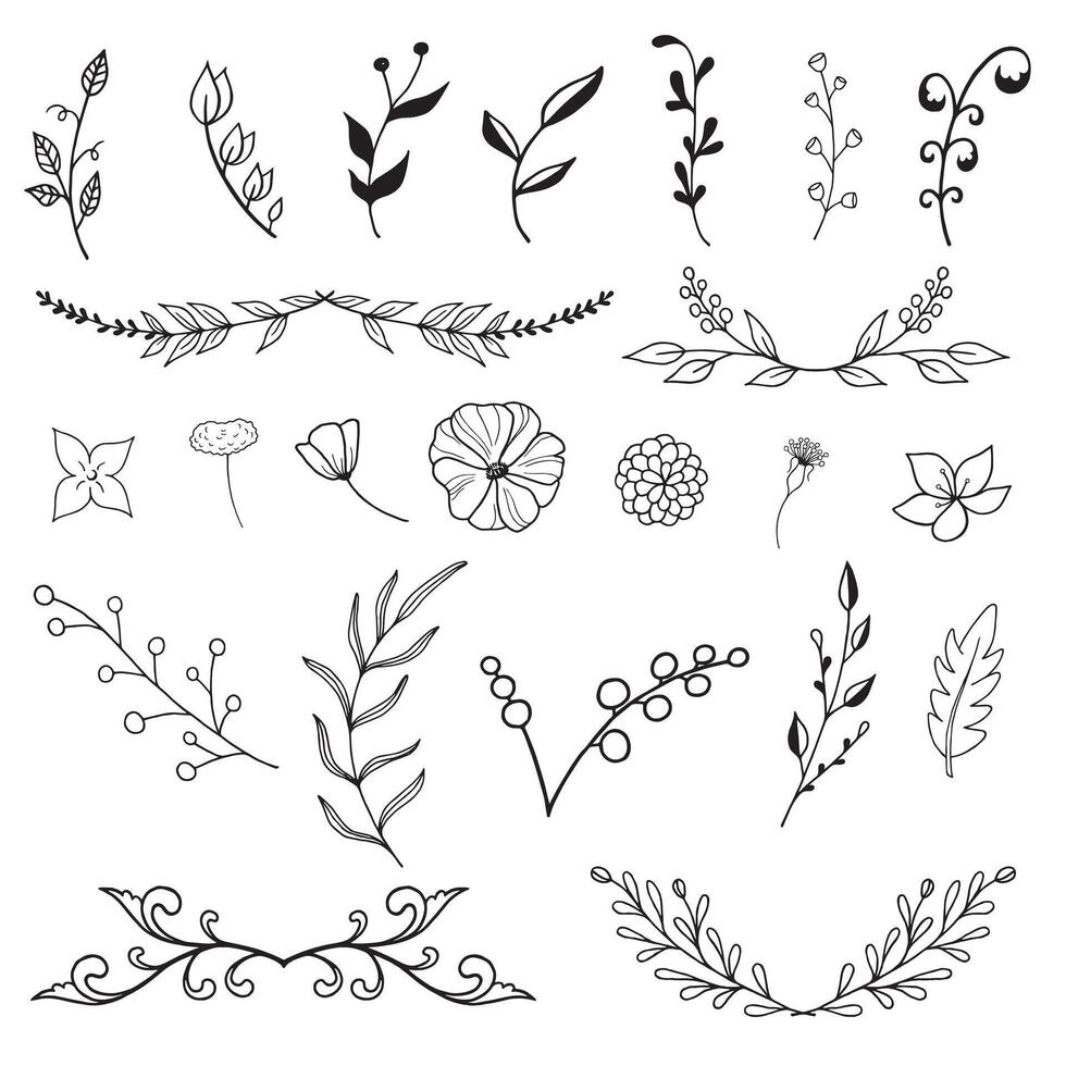 Vector illustration hand drawn floral element set isolated on a white background