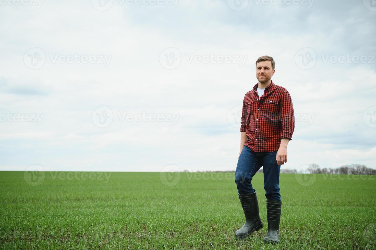 joven granjero soportes en el verde campo comprobación y esperando para cosecha a crecer. foto