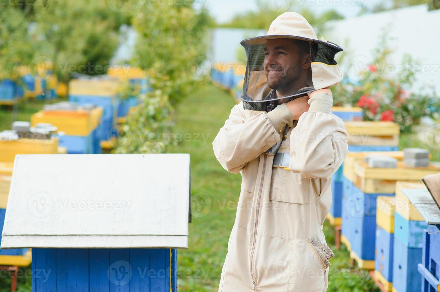 apicultura, apicultor a trabajar, abejas en vuelo. foto