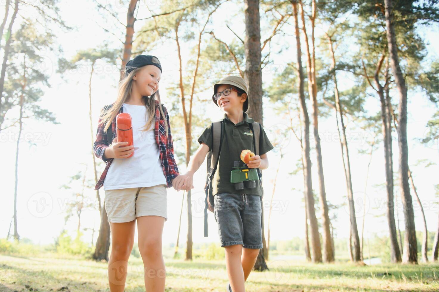 Two happy children having fun during forest hike on beautiful day in pine forest. Cute boy scout with binoculars during hiking in summer forest. Concepts of adventure, scouting and hiking tourism photo