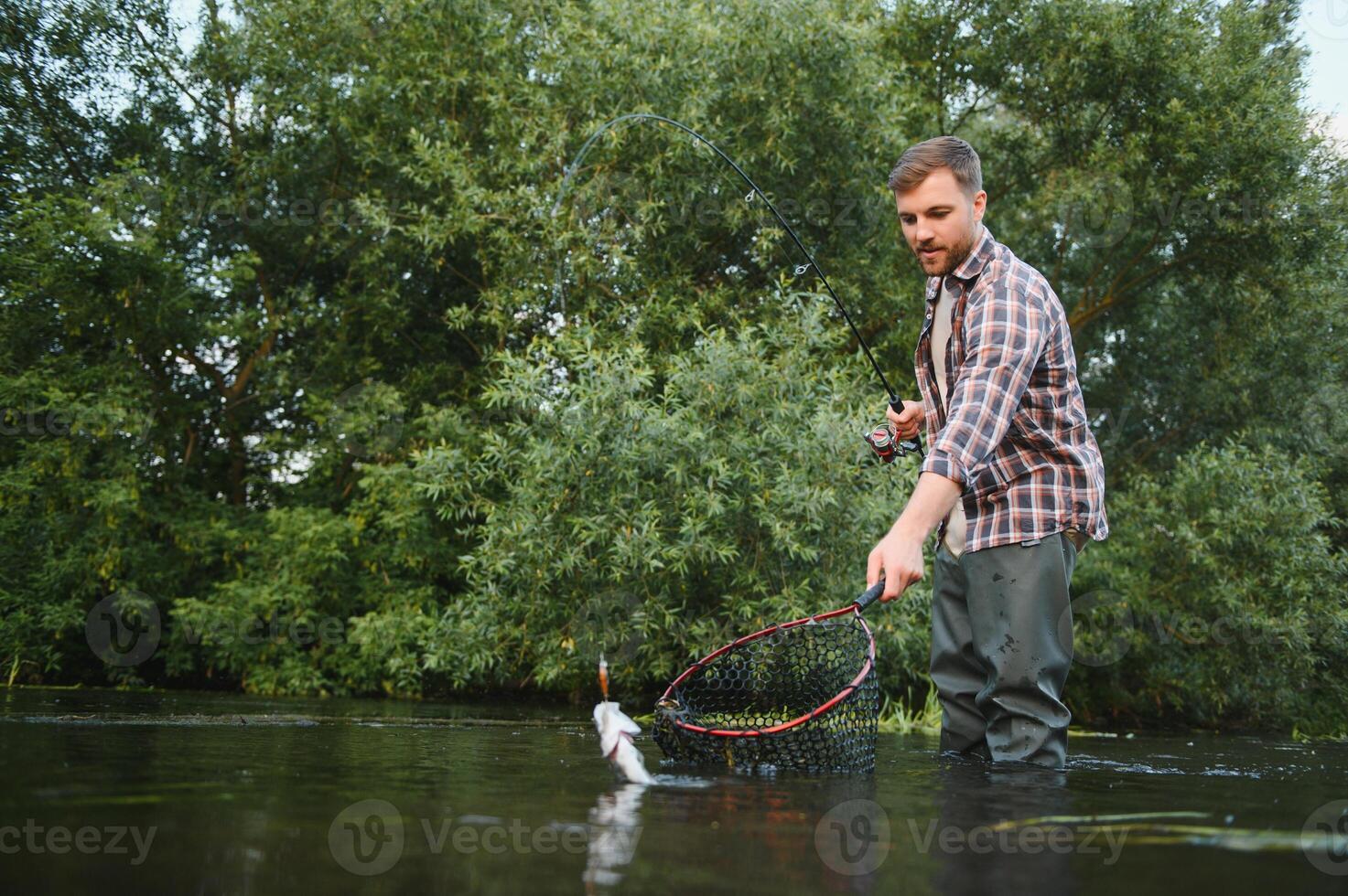 Fisherman picking up big rainbow trout from his fishing net photo