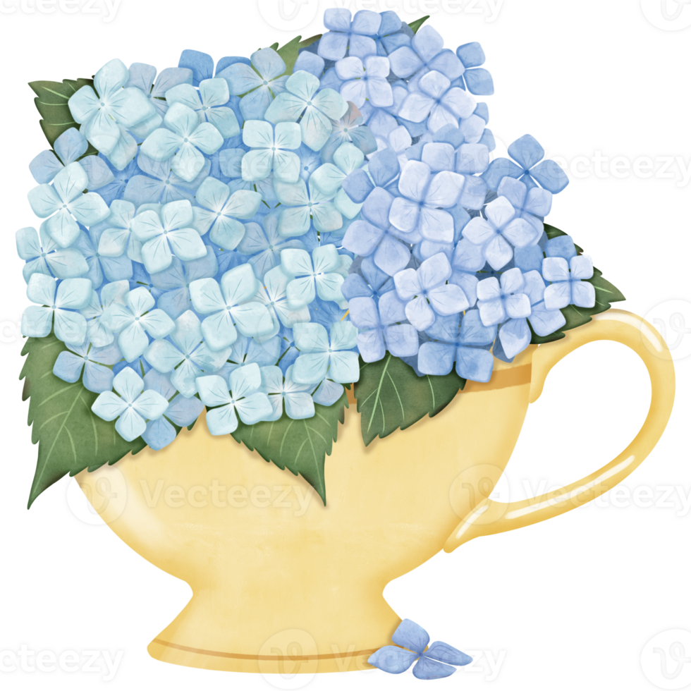 Hand draw hydrangea flowers in yellow teacup png