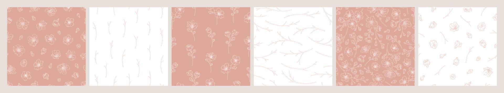 Set of seamless patterns with blooming apricot flowers vector