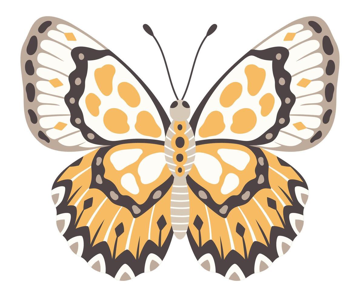 Butterfly vector illustration. Colourful wings with ornament, front view, a symbol for tattoo design. Summer background, fly insect