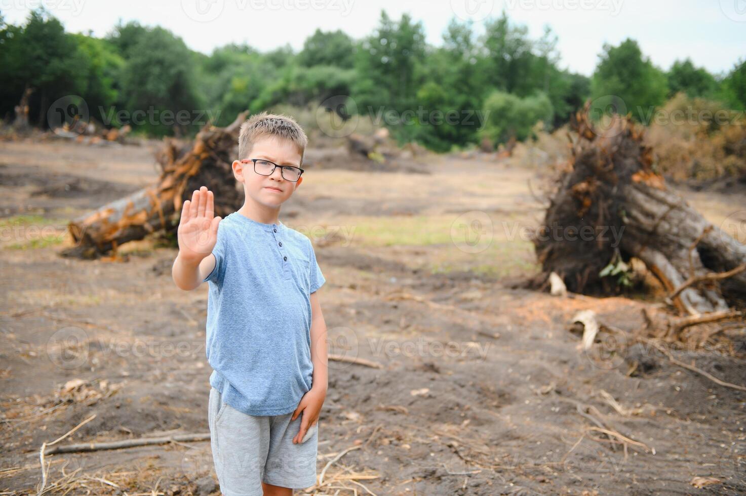 Deforestation, Destruction of Deciduous Forests. Damage to Nature. Europe photo