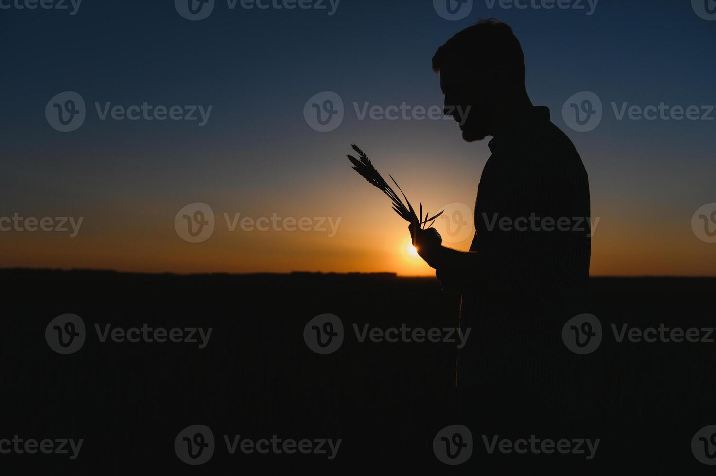 silhouette of man looking at beautiful landscape in a field at sunset. photo